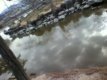 吉備津彦神社　201001氷